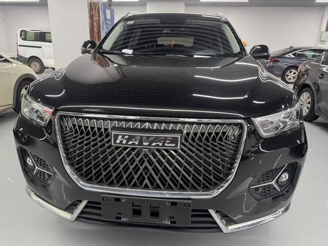 2021 Haval H6 thumbnail 2