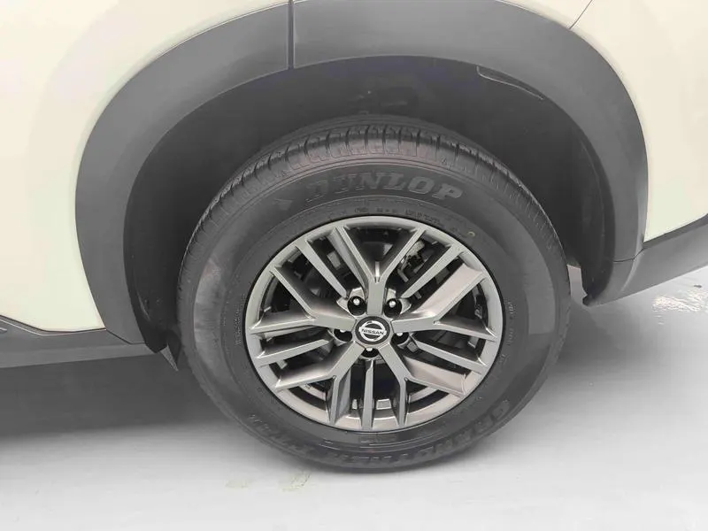 2021 Nissan Zeekr X-Trail thumbnail 10