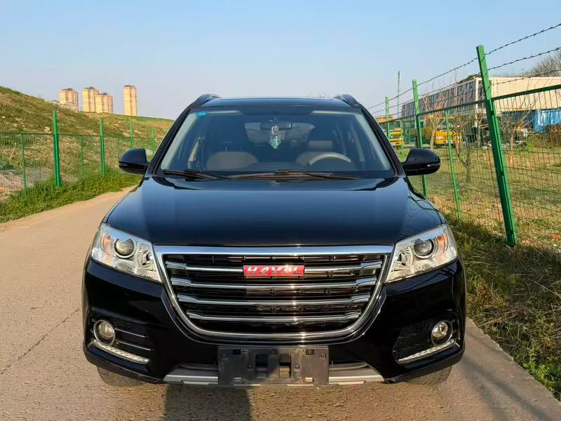 2015 Haval / Jolion thumbnail 2