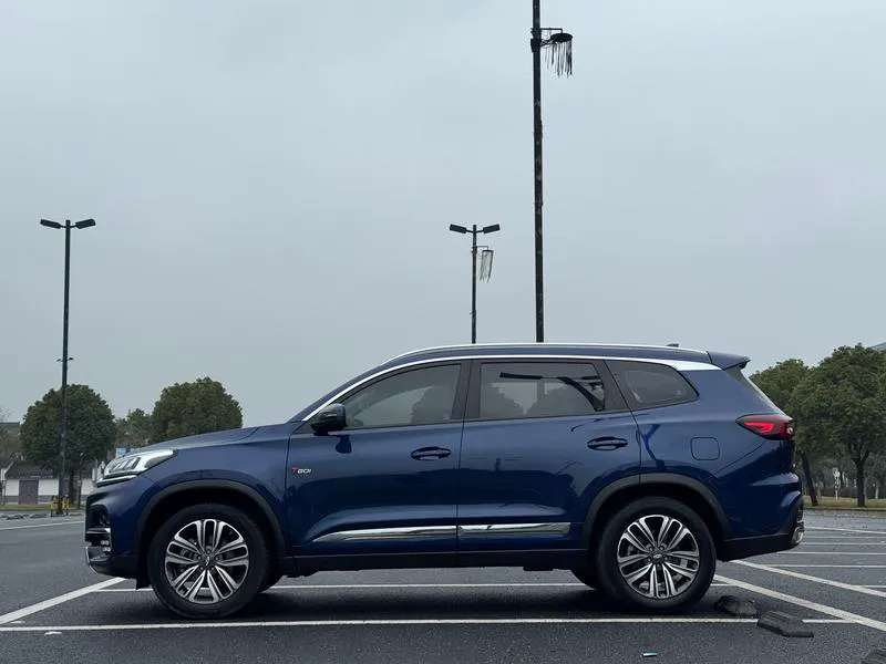 2019 Chery 9 thumbnail 3