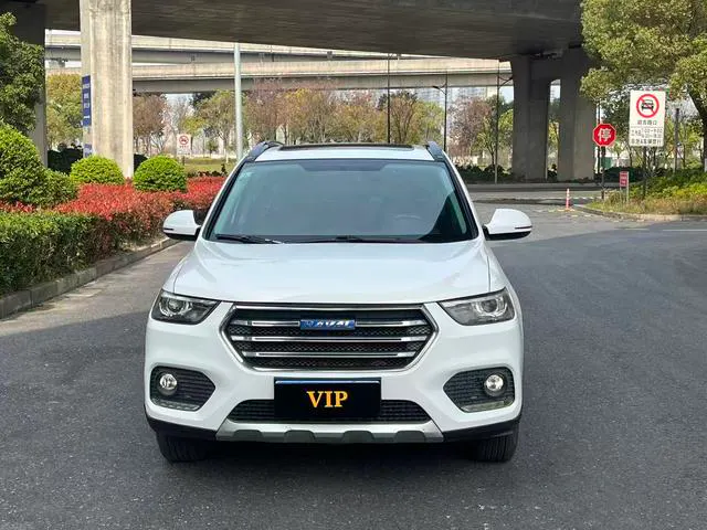 2018 Haval H6 thumbnail 2