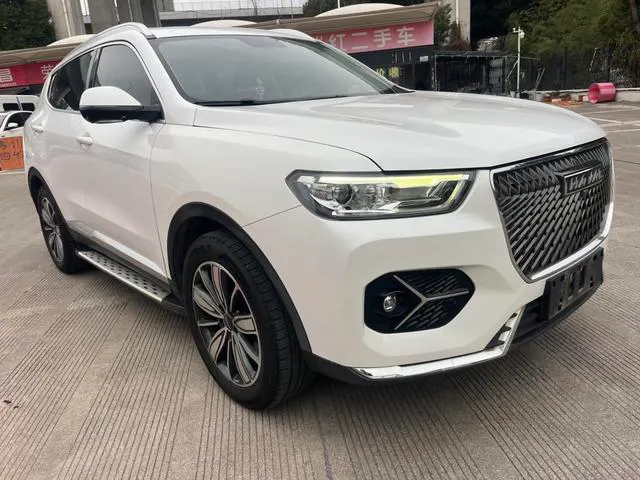 2020 Haval H6 thumbnail 2