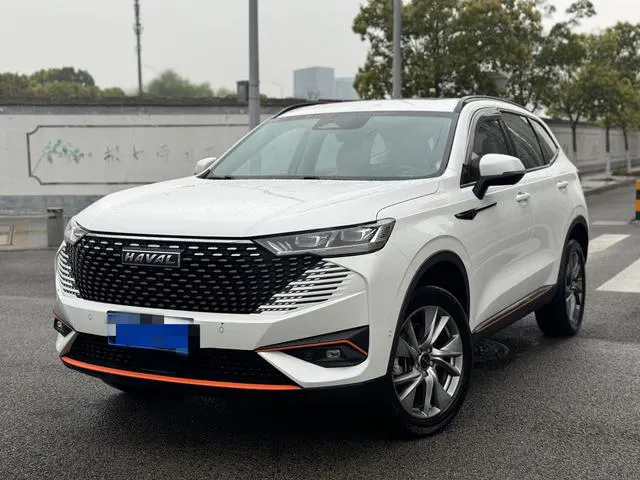 2021 Haval H6 photo 1