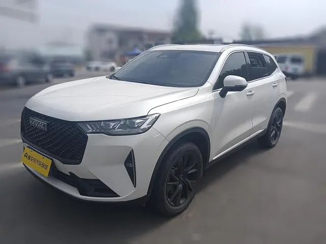 2021 Haval H6 thumbnail 2