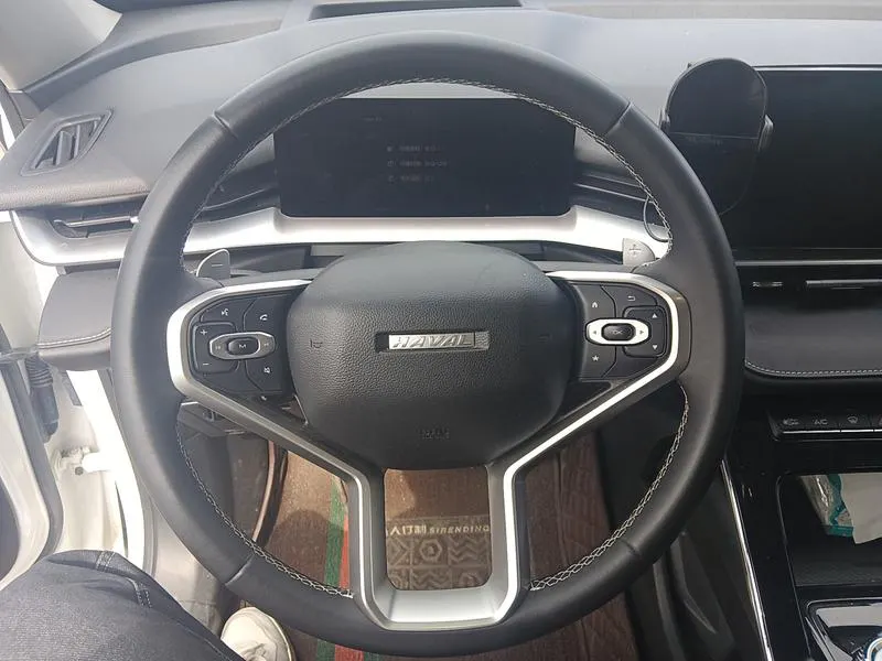 2021 Haval H6 thumbnail 12