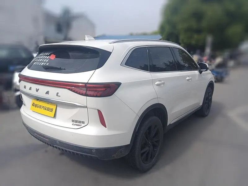 2021 Haval H6 thumbnail 5