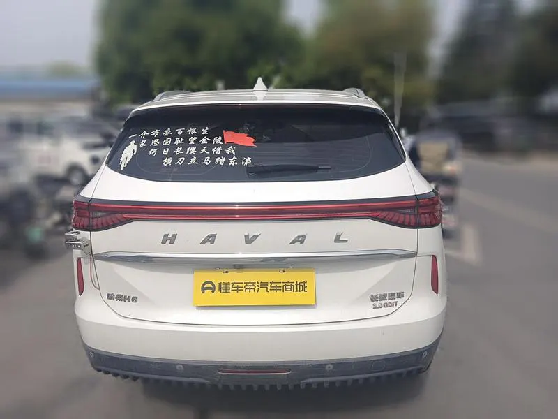 2021 Haval H6 thumbnail 6