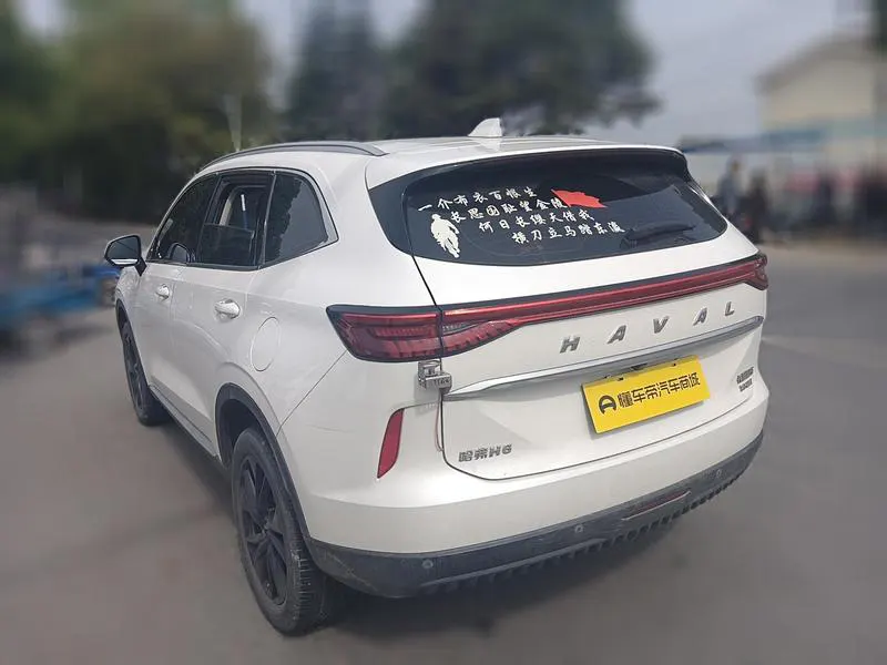 2021 Haval H6 thumbnail 7