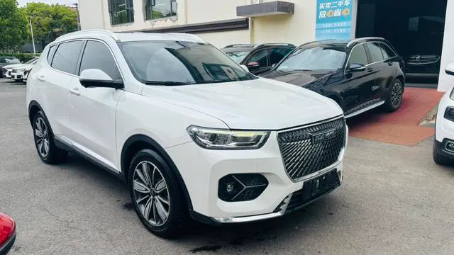 2021 Haval H6 thumbnail 3