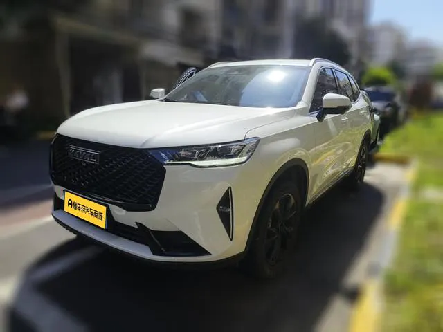 2021 Haval H6 thumbnail 2