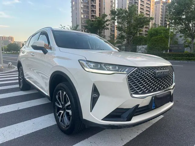 2021 Haval H6 thumbnail 3
