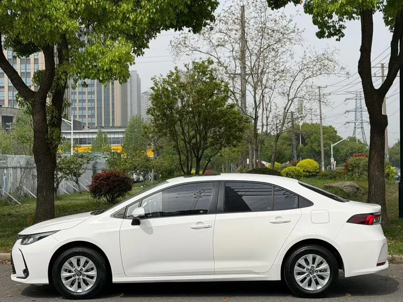 2019 Toyota Corolla thumbnail 3