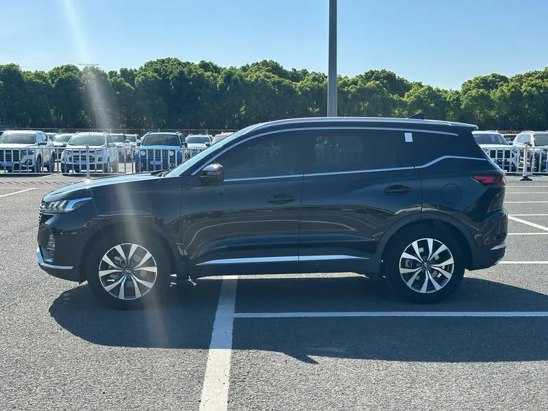 2020 Chery 9 thumbnail 3