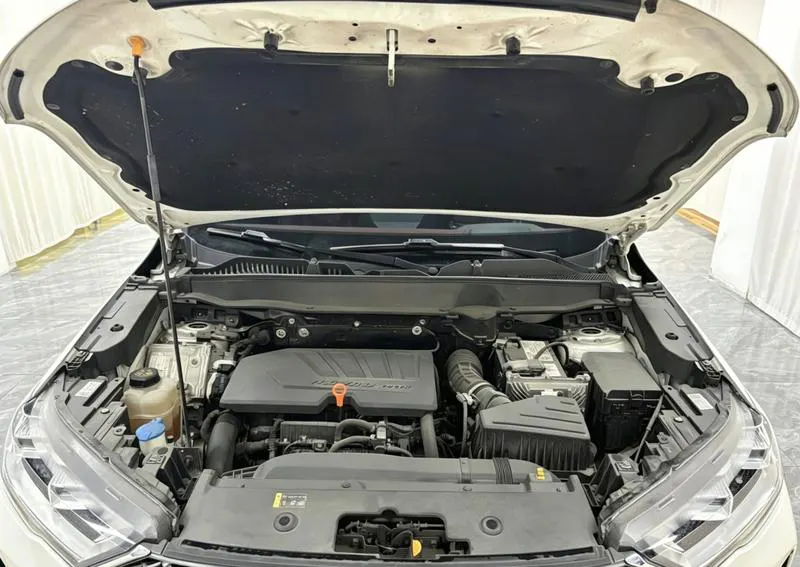 2021 Haval / Jolion thumbnail 11
