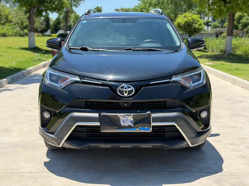 2019 Toyota RAV4 thumbnail 2