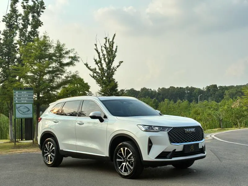 2024 Haval / Jolion thumbnail 2
