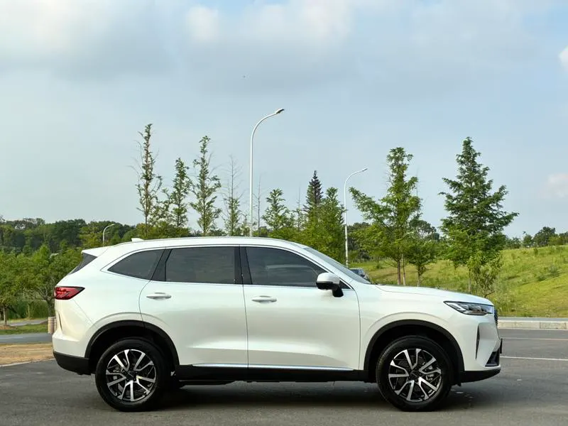 2024 Haval / Jolion thumbnail 6