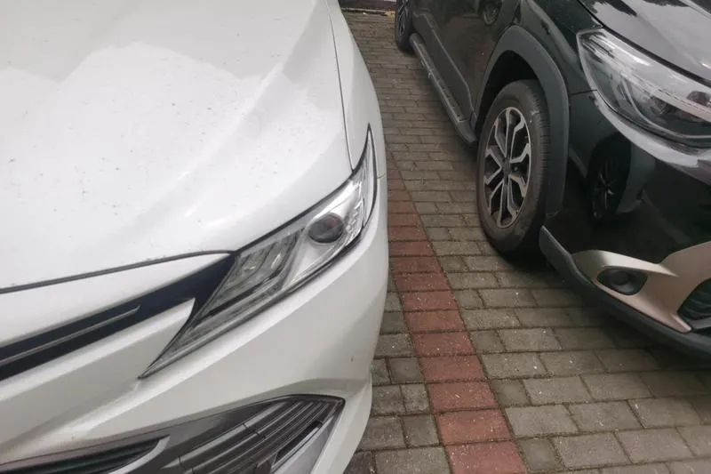 2019 Toyota Camry thumbnail 4