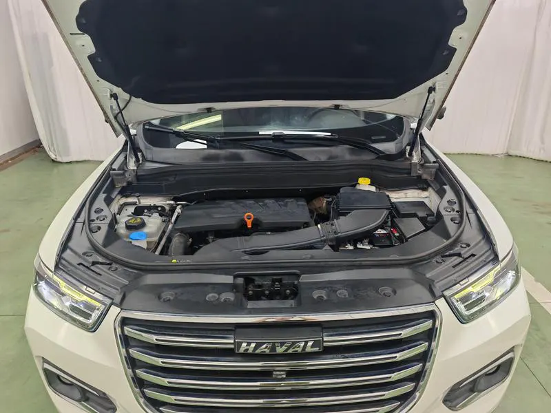 2020 Haval H6 thumbnail 11