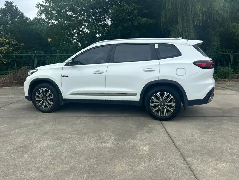 2020 Chery 9 thumbnail 10