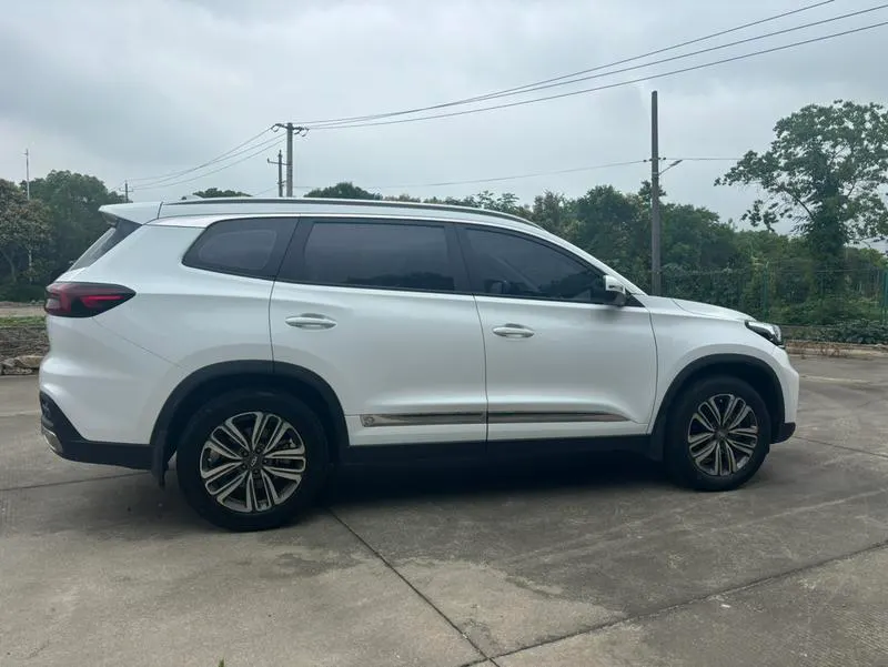 2020 Chery 9 thumbnail 4