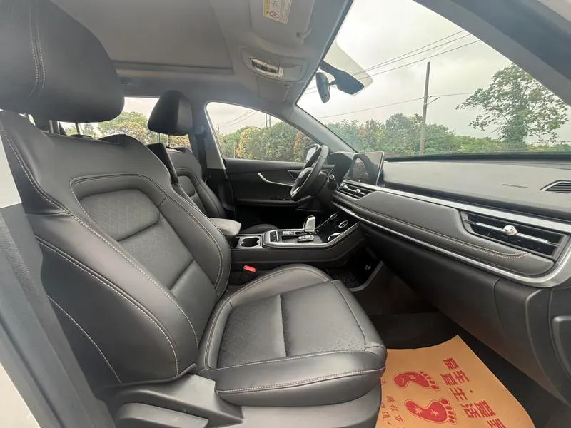 2020 Chery 9 thumbnail 15