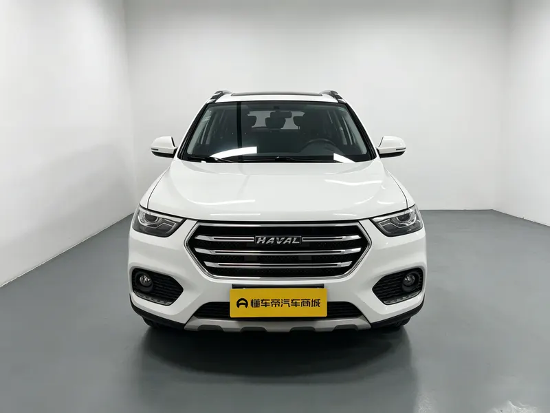 2018 Haval H6 thumbnail 3