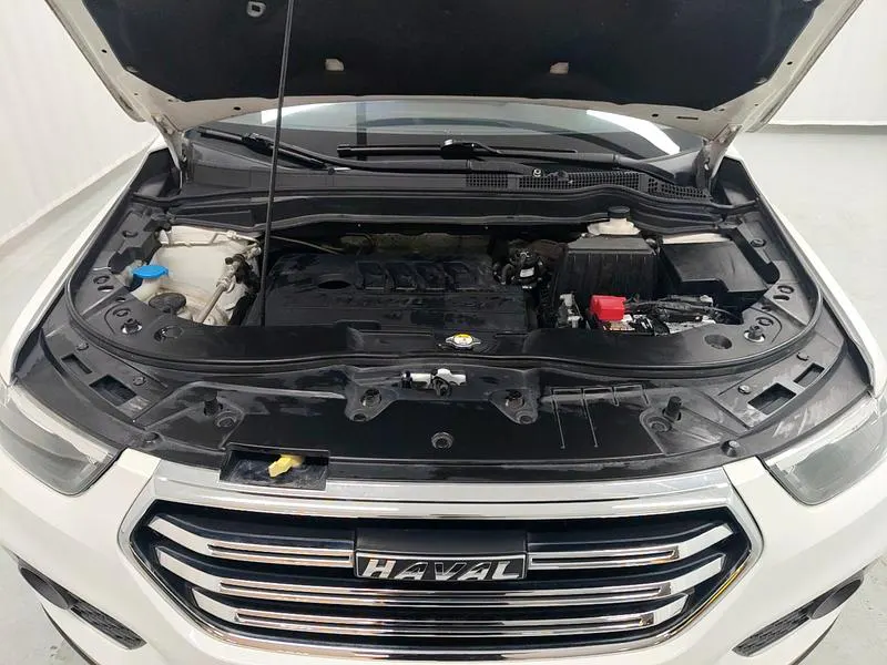 2018 Haval H6 thumbnail 11