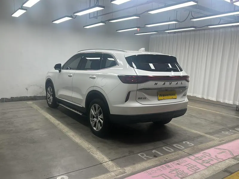 2021 Haval H6 thumbnail 6