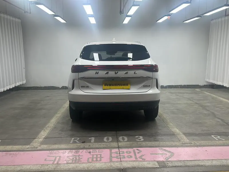 2021 Haval H6 thumbnail 7