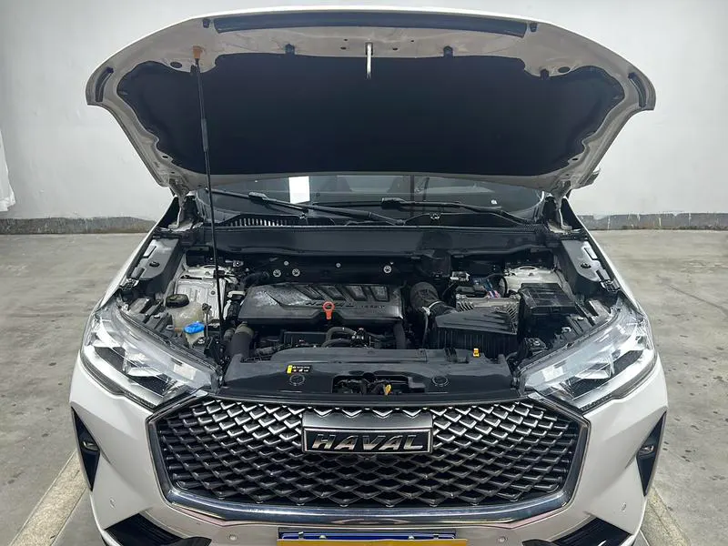 2021 Haval H6 thumbnail 11