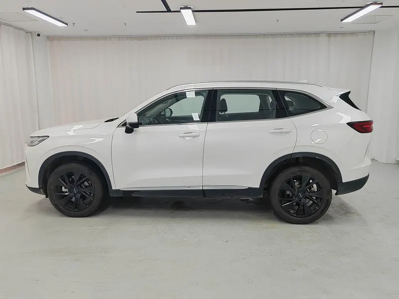 2021 Haval H6 thumbnail 5