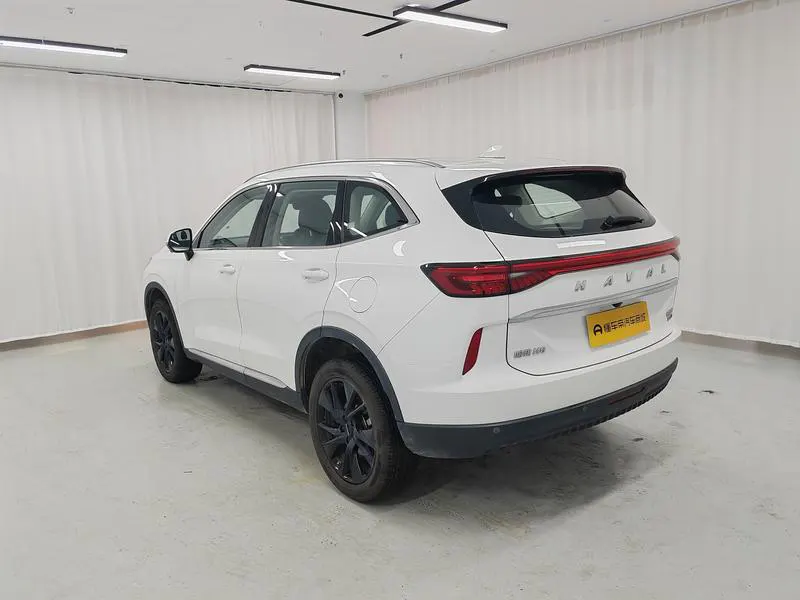 2021 Haval H6 thumbnail 6
