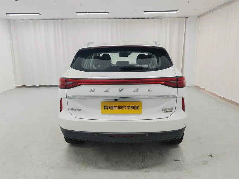 2021 Haval H6 thumbnail 7