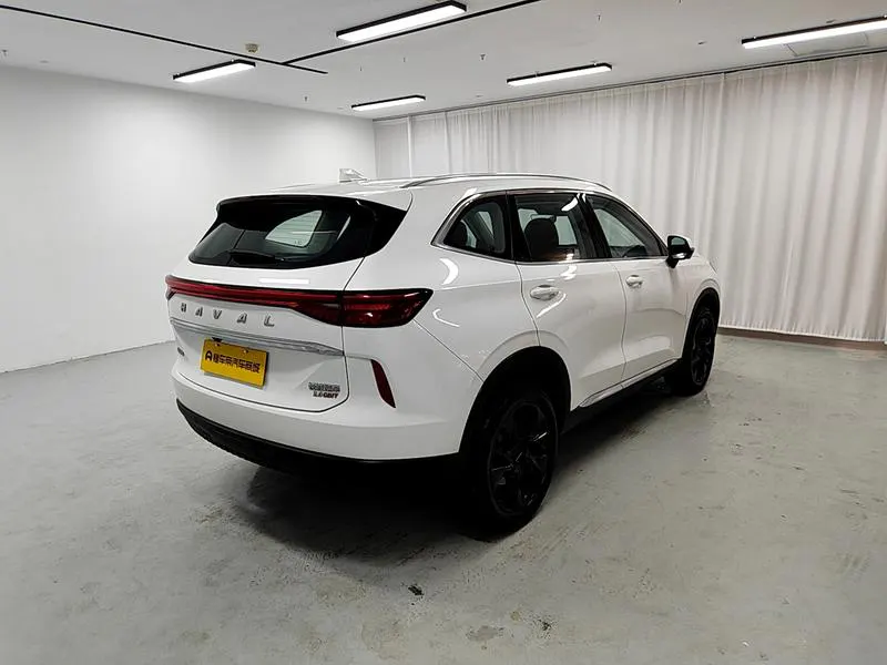 2021 Haval H6 thumbnail 8