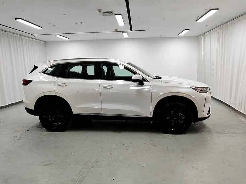 2021 Haval H6 thumbnail 9