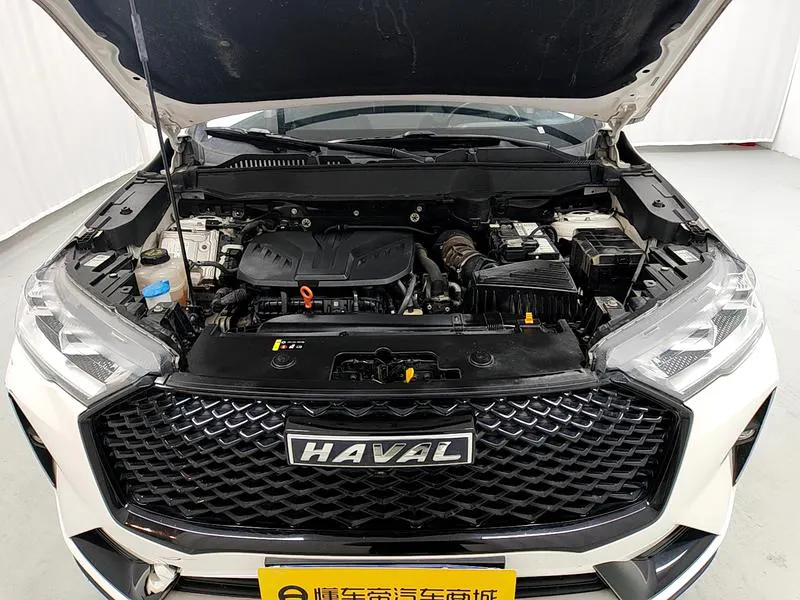 2021 Haval H6 thumbnail 11