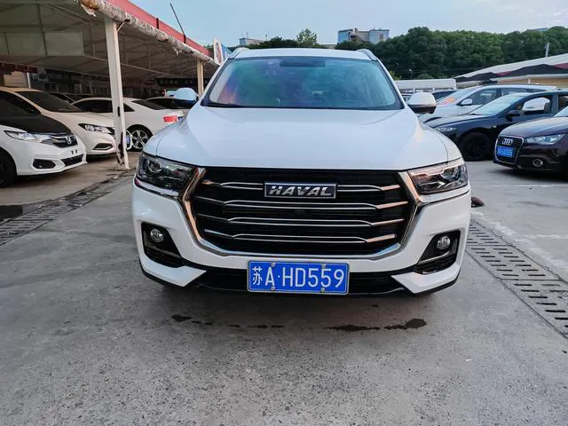 2021 Haval H6 thumbnail 2