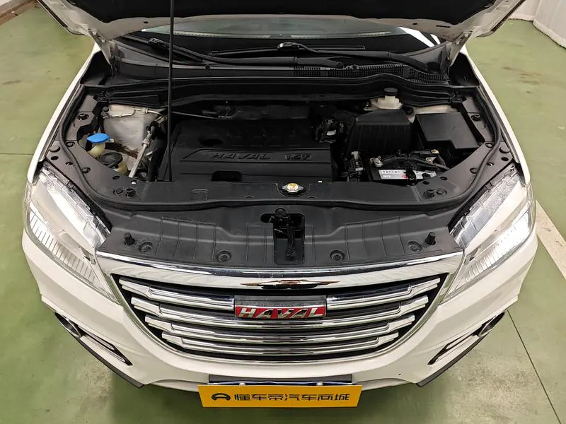 2018 Haval H6 thumbnail 11