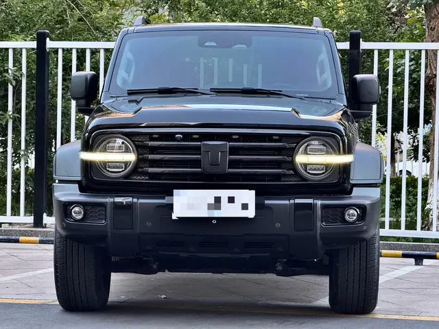 2021 Tank 300 thumbnail 2