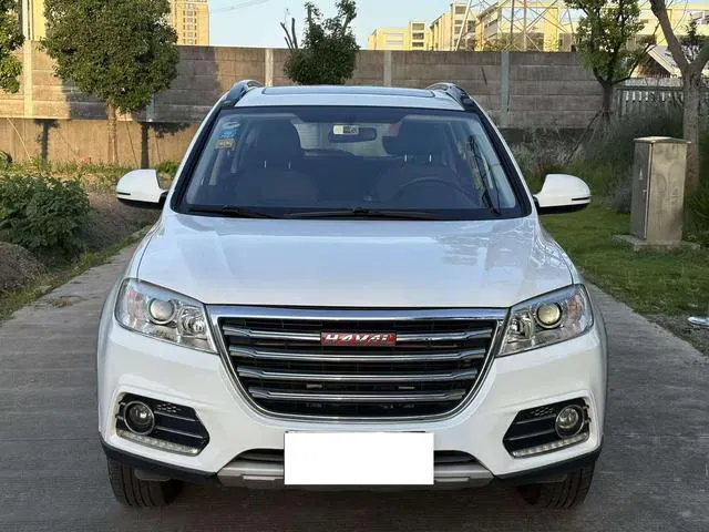 2018 Haval H6 thumbnail 2