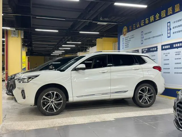 2018 Haval H6 Coupe thumbnail 3