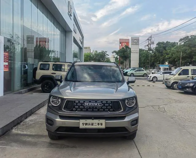 2023 Haval Dagou PLUS thumbnail 2