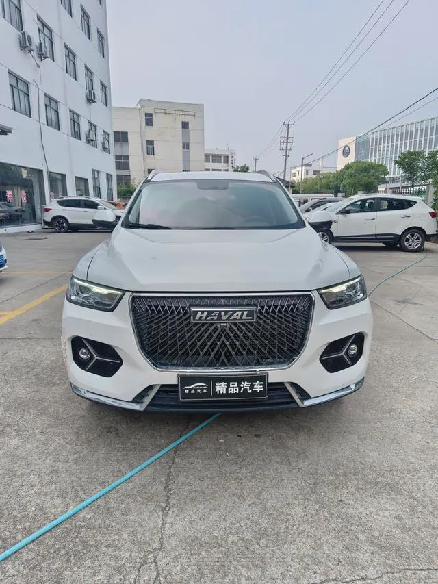 2021 Haval H6 thumbnail 2