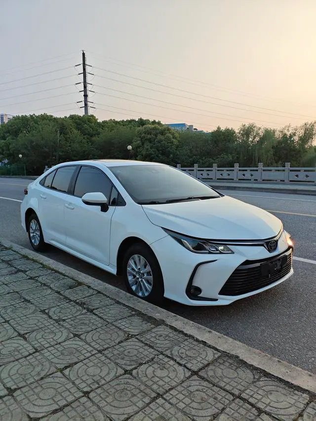 2019 Toyota Corolla thumbnail 3