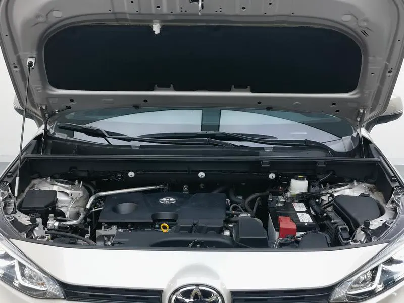 2023 Toyota Wildlander thumbnail 11