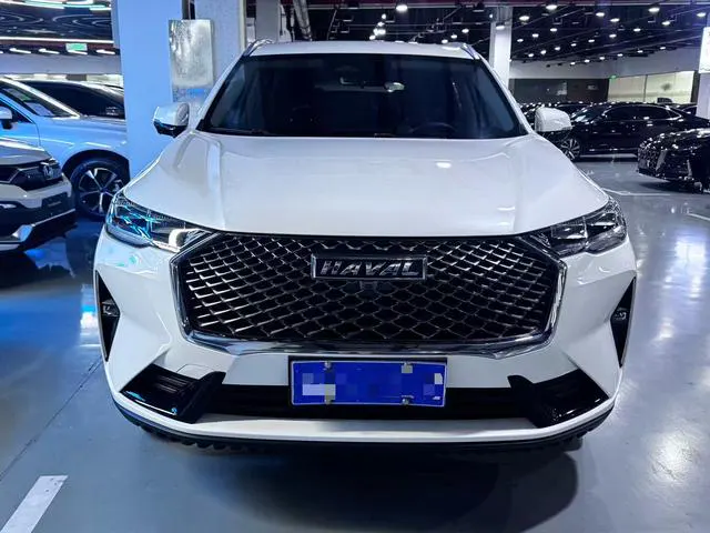 2021 Haval H6 thumbnail 2