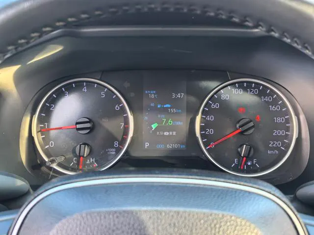 2021 Toyota Wildlander thumbnail 5