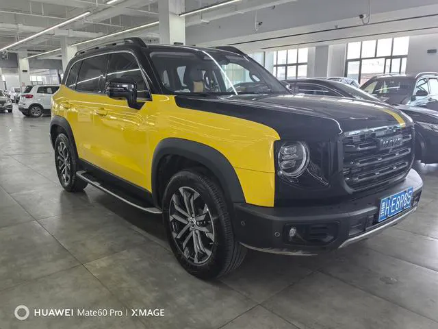 2021 Haval Dawg thumbnail 2