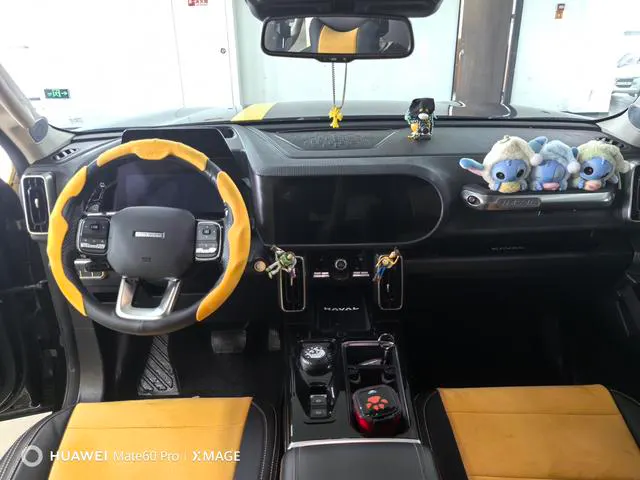 2021 Haval Dawg thumbnail 4